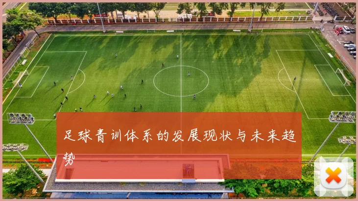 足球青训体系的发展现状与未来趋势