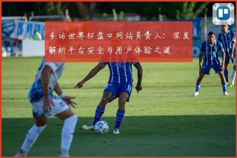 专访世界杯盘口网站负责人：深度解析平台安全与用户体验之道