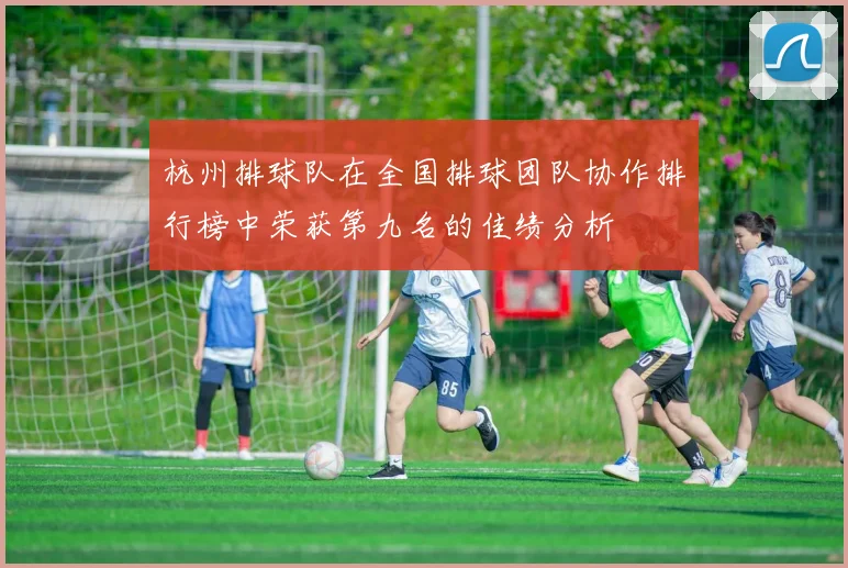 杭州排球队在全国排球团队协作排行榜中荣获第九名的佳绩分析