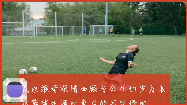 武切维奇深情回顾与公牛的岁月表达篮球生涯结束后的不变情谊