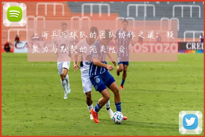 上海乒乓球队的团队协作之道:凝聚力与默契的完美结合