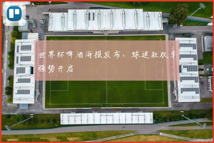 世界杯啤酒海报发布,球迷狂欢季强势开启