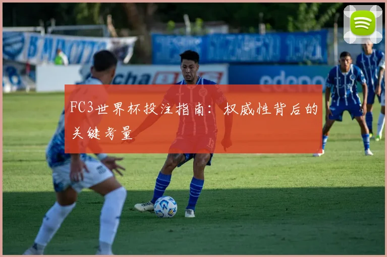 FC3世界杯投注指南：权威性背后的关键考量