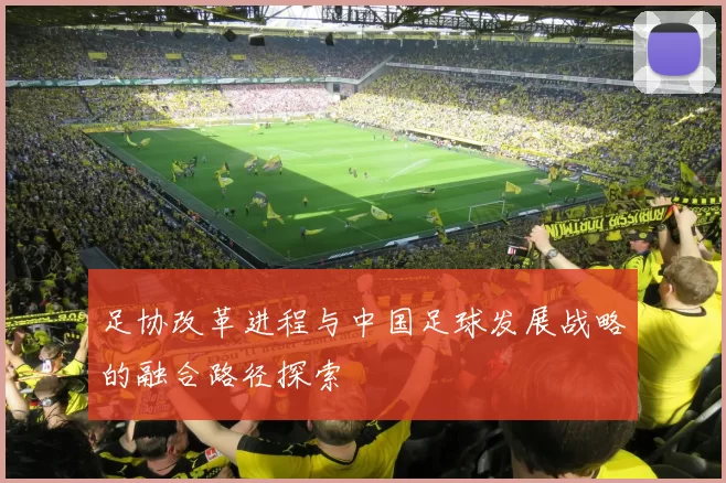 足协改革进程与中国足球发展战略的融合路径探索