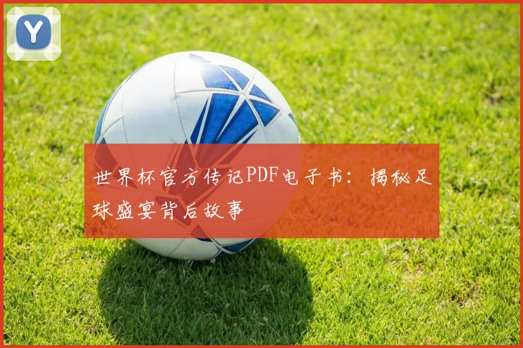 世界杯官方传记PDF电子书：揭秘足球盛宴背后故事