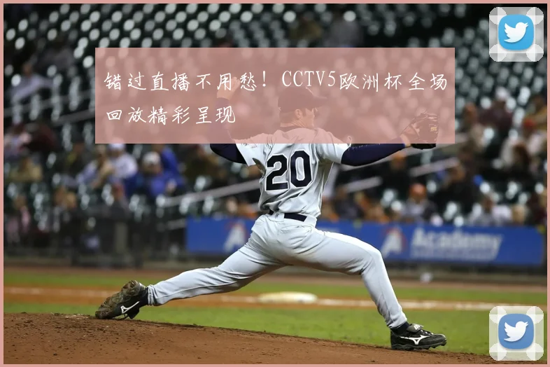 错过直播不用愁!CCTV5欧洲杯全场回放精彩呈现