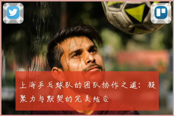 上海乒乓球队的团队协作之道:凝聚力与默契的完美结合