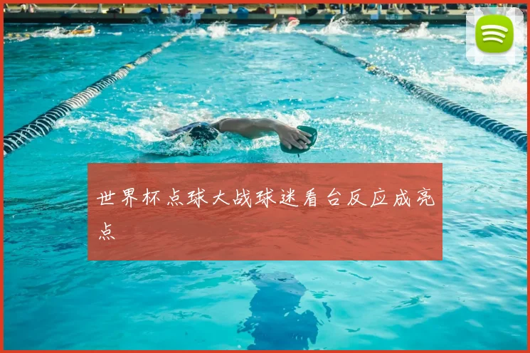 世界杯点球大战球迷看台反应成亮点