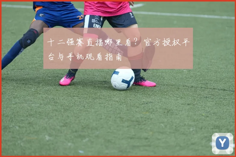 十二强赛直播哪里看?官方授权平台与手机观看指南