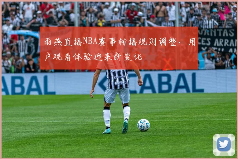 雨燕直播NBA赛事转播规则调整，用户观看体验迎来新变化