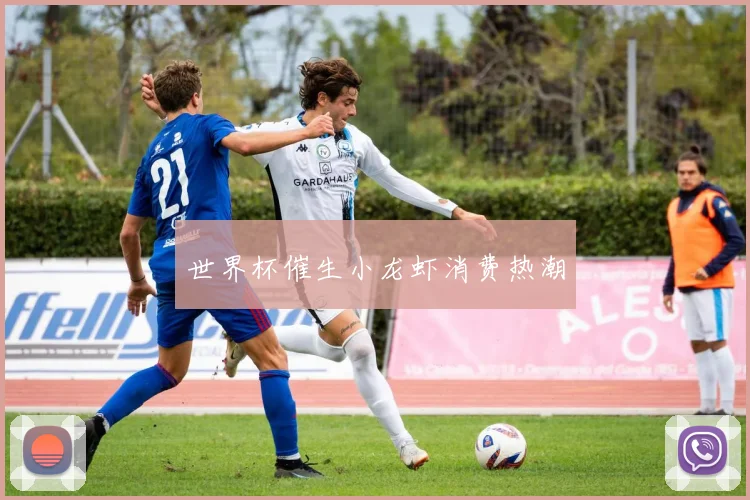 世界杯催生小龙虾消费热潮