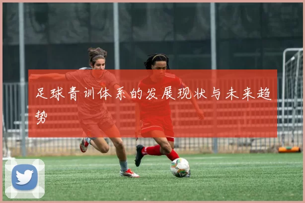 足球青训体系的发展现状与未来趋势