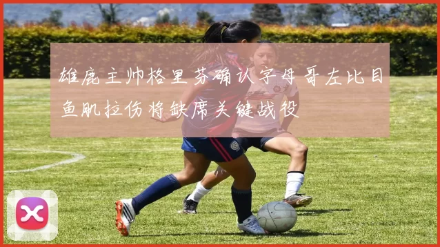 雄鹿主帅格里芬确认字母哥左比目鱼肌拉伤将缺席关键战役