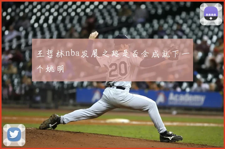 王哲林nba发展之路是否会成就下一个姚明